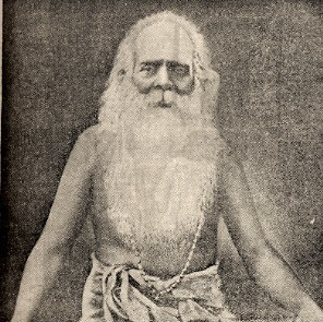 चट्टम्पि स्वामीकल